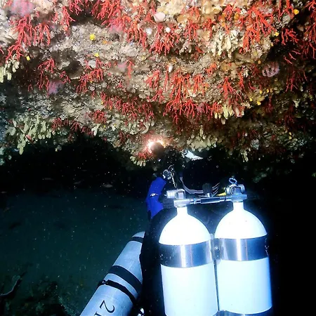 酒店 Internazionale